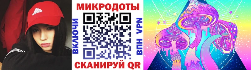 Купить где  Димитровград  Псилоцибиновые грибы Psilocybe 